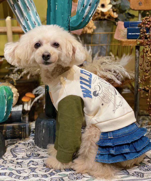 犬服 as know as de wan 3 ママお揃い未使用『as know as