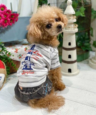 de wan | アズノゥアズ 犬服・ドッグウェアブランド通販