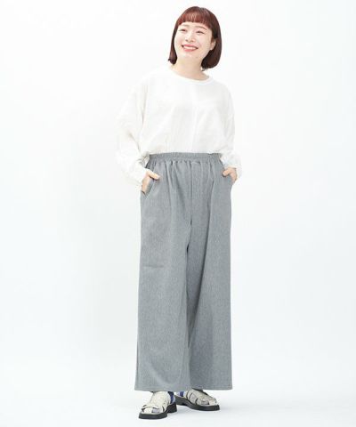 ビョンビョンワイドＰＴ