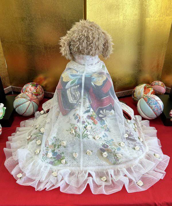 お着物 | アズノゥアズ レディース服のファッション通販サイト