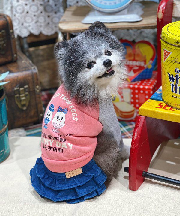 犬ドージ 世界で最も有名な柴犬でネットミーム「Doge(ドージ)」の元になった