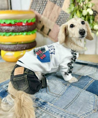 デワン | 愛犬とママ パパのお揃いコーデも取り扱う犬服通販サイト