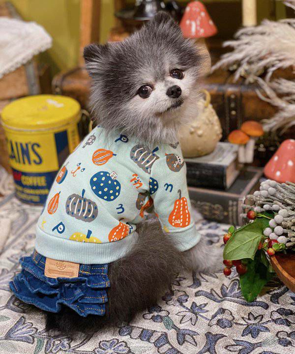 犬服as know as de wan ワンピース3