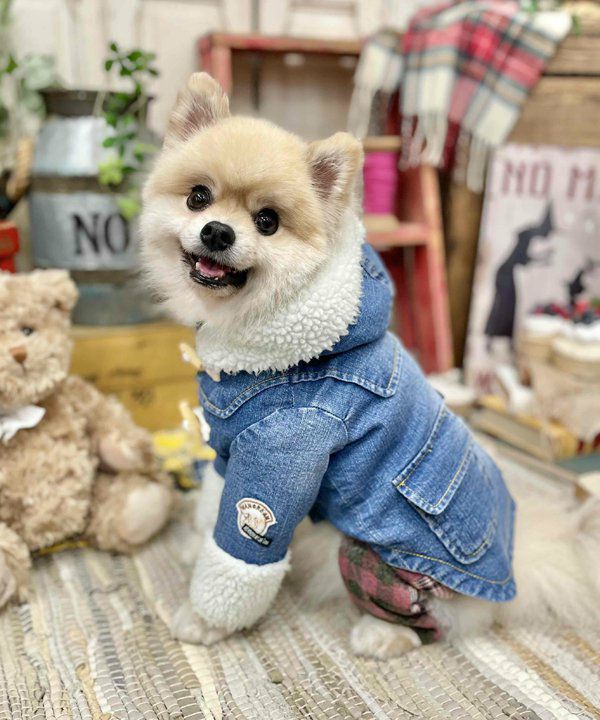 デワン | 愛犬とママ パパのお揃いコーデも取り扱う犬服通販サイト