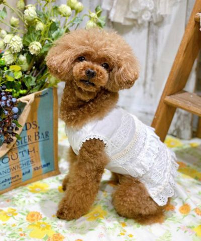 ワンピース SOORPLOOM Orla Dress 2y SOORPLOOM Orla Dress 2y - メルカリ