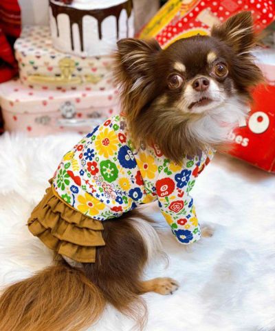 デワン | 愛犬とママ パパのお揃いコーデも取り扱う犬服通販サイト