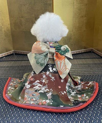 見返リ振袖ー赭老緑ー