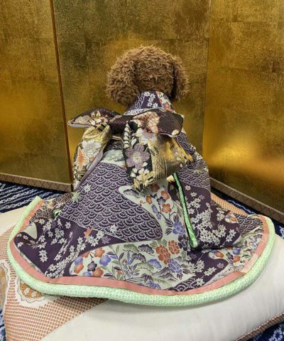 見返リ振袖ー小紫色ー