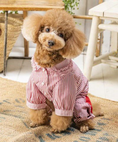 デワン | 愛犬とママ パパのお揃いコーデも取り扱う犬服通販サイト