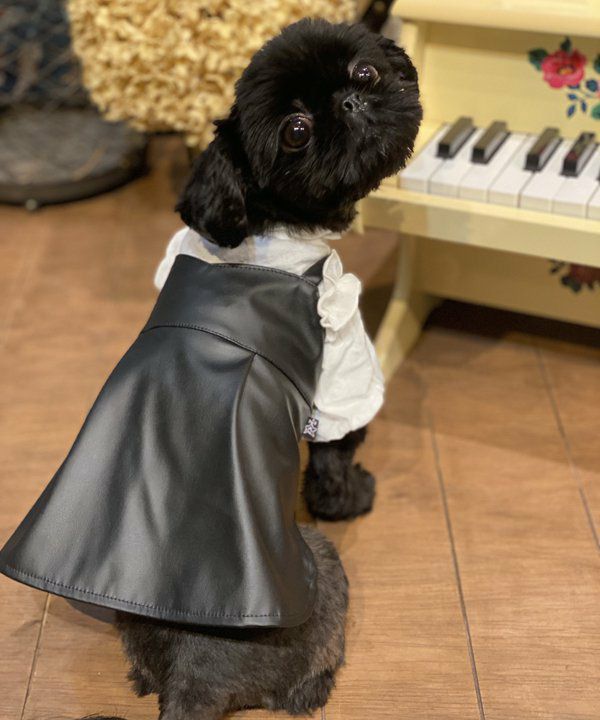 犬　ペット　洋服　asknowasdewan フェイク　レザー　キャミ　ブラック フェイクレザーキャミOP | AS KNOW AS オンラインショップ