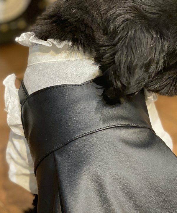 犬　ペット　洋服　asknowasdewan フェイク　レザー　キャミ　ブラック フェイクレザーキャミOP | AS KNOW AS オンラインショップ