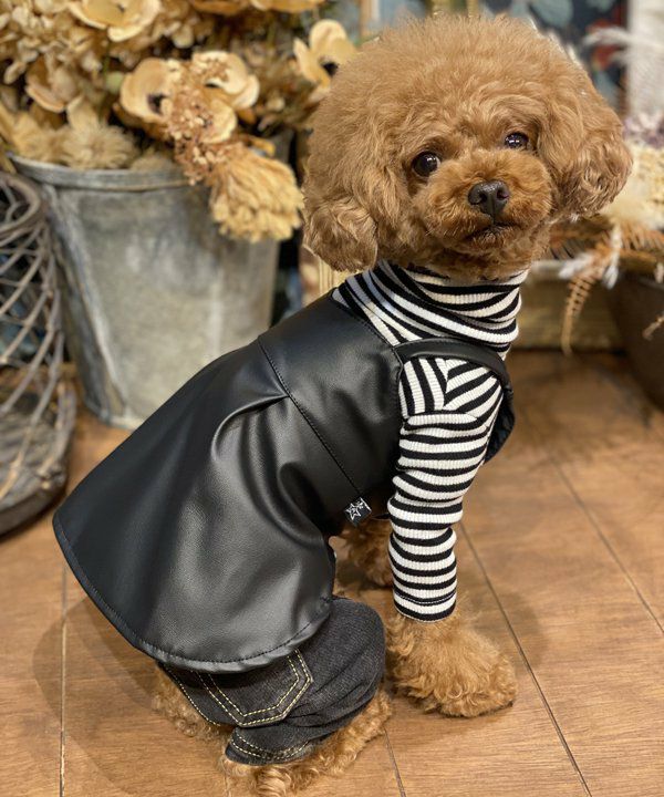 犬　ペット　洋服　asknowasdewan フェイク　レザー　キャミ　ブラック フェイクレザーキャミOP | AS KNOW AS オンラインショップ