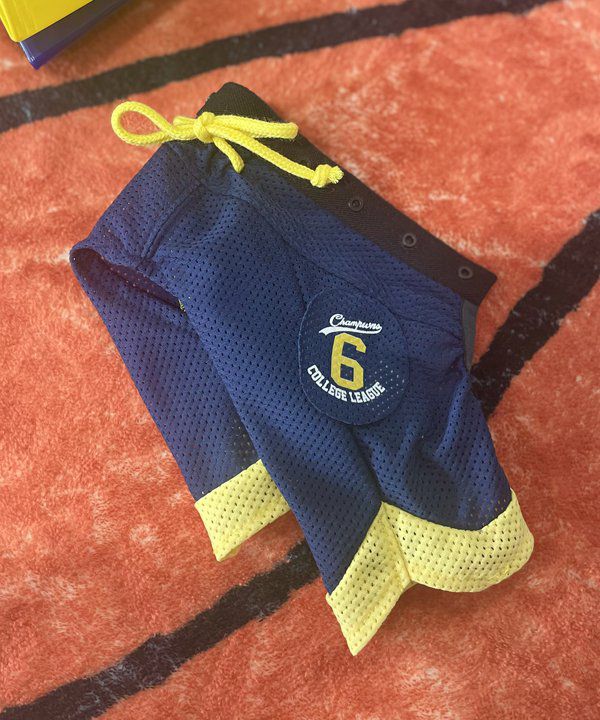 ＮＶ