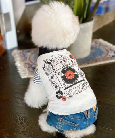 デワン | 愛犬とママ パパのお揃いコーデも取り扱う犬服通販サイト