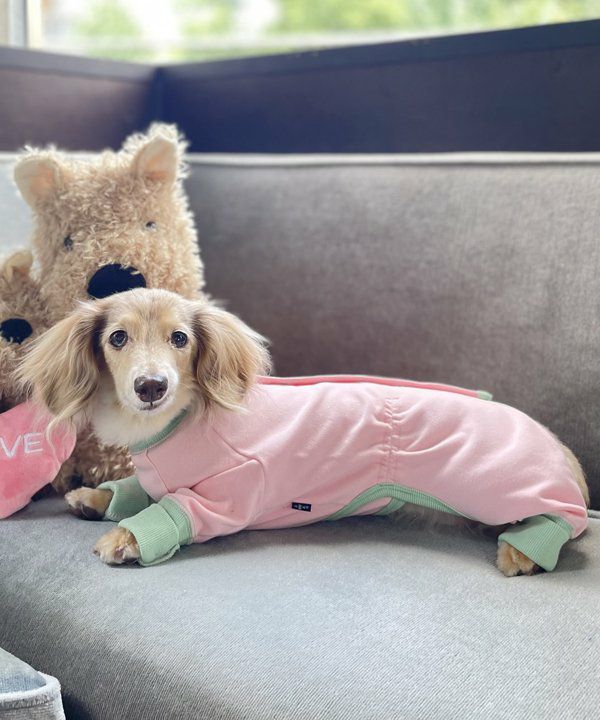 Happyロンパース | AS KNOW AS オンラインショップ