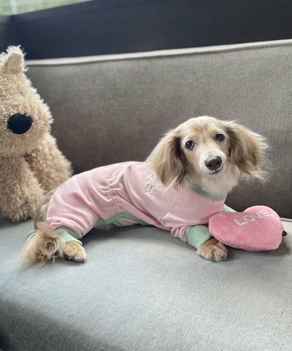 Happyロンパース | AS KNOW AS オンラインショップ