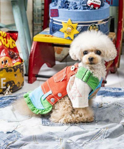 デワン | 愛犬とママ パパのお揃いコーデも取り扱う犬服通販サイト