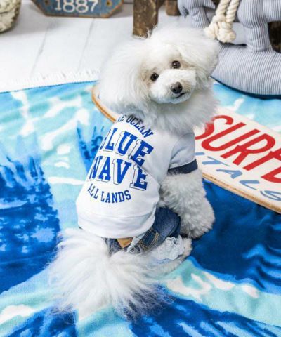 デワン | 愛犬とママ パパのお揃いコーデも取り扱う犬服通販サイト