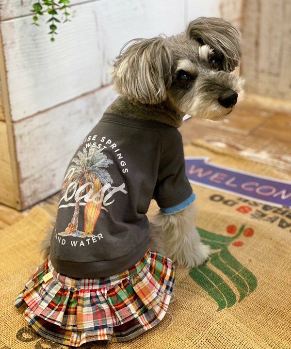 スミクロ