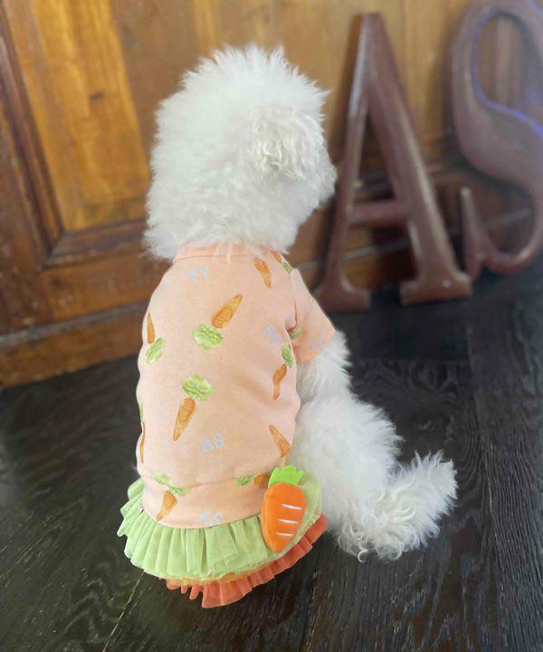 ニンジン