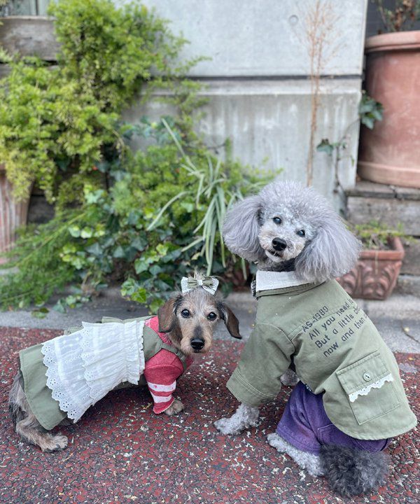 NミリタリーレースOP | AS KNOW AS オンラインショップ