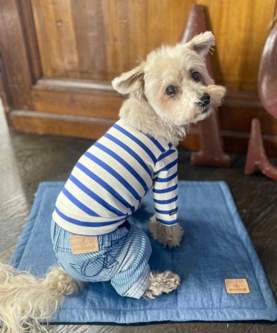 デワン | 愛犬とママ パパのお揃いコーデも取り扱う犬服通販サイト
