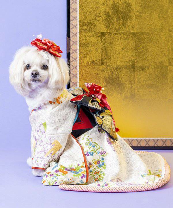 as know as de wan 犬用振袖 M 淡紅藤 新品未使用 as know as de wan 犬用振袖 M 淡紅藤 新品未使用