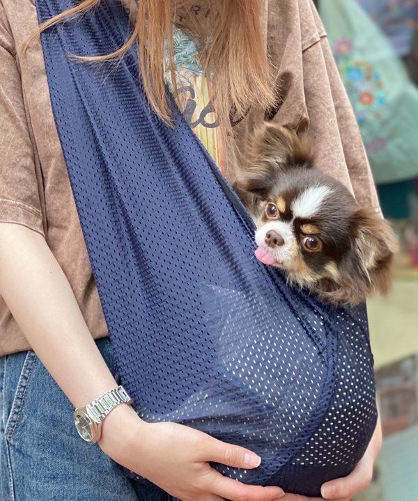 アズノゥアズデワン2点おまとめ