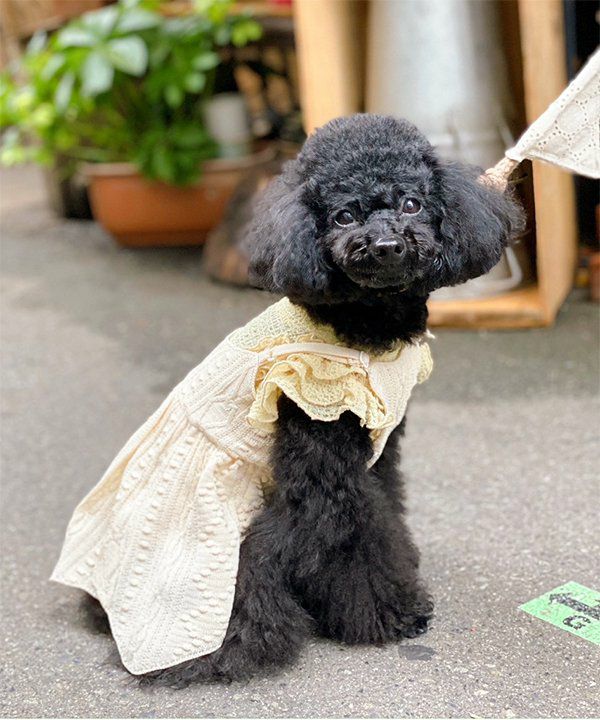オフ