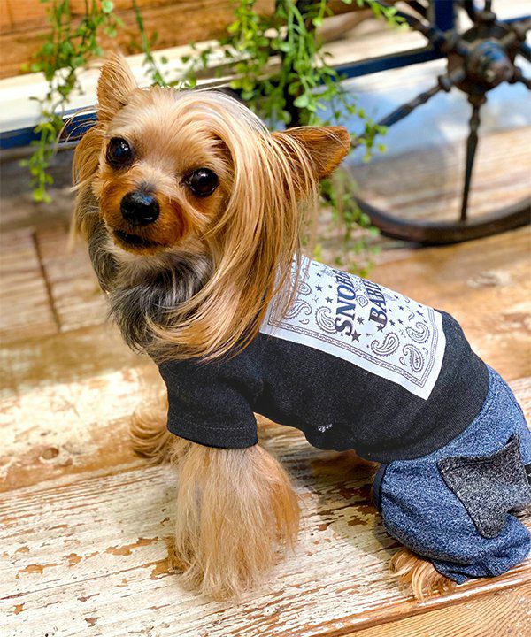 デワン | 愛犬とママ パパのお揃いコーデも取り扱う犬服通販サイト