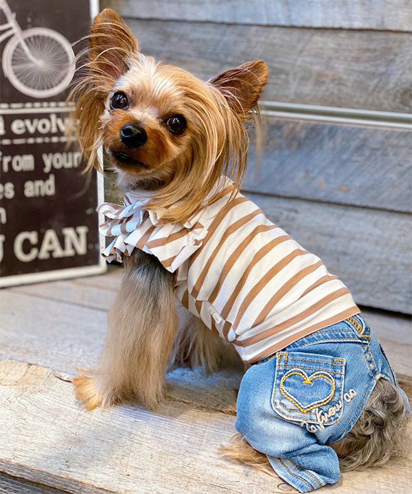 デワン | 愛犬とママ パパのお揃いコーデも取り扱う犬服通販サイト