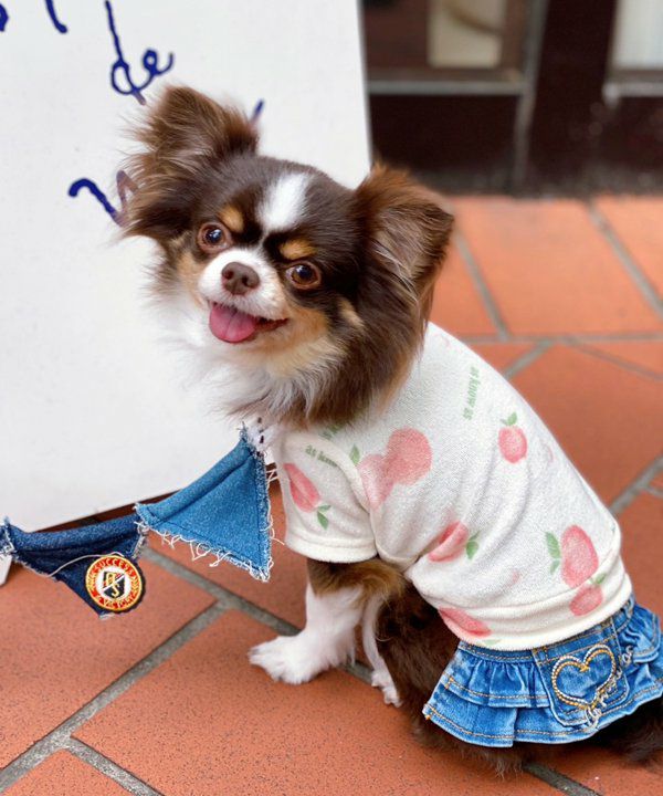 ワンちゃん | アズノゥアズ レディース服のファッション通販サイト