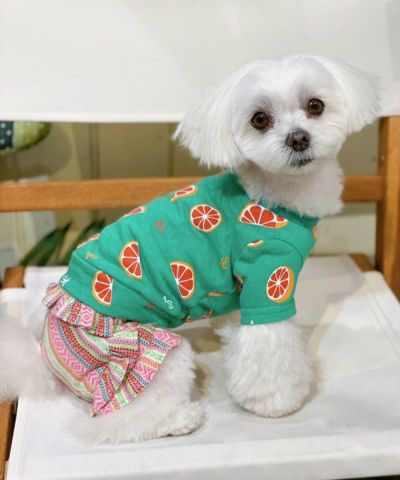 デワン | 愛犬とママ パパのお揃いコーデも取り扱う犬服通販サイト