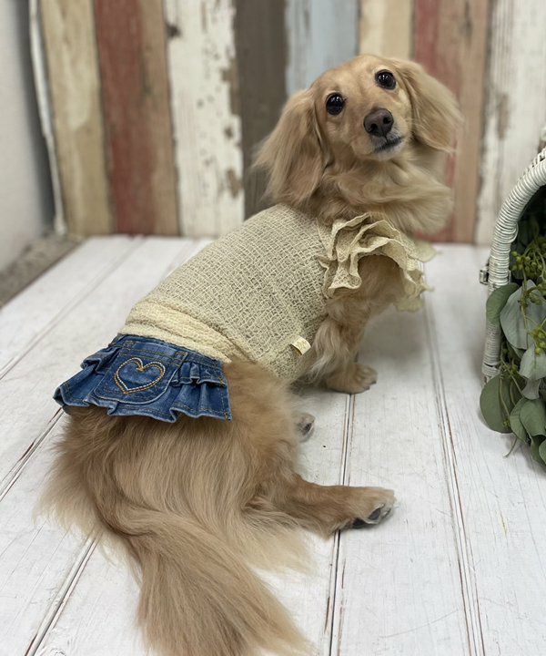 デワン | 愛犬とママ パパのお揃いコーデも取り扱う犬服通販サイト