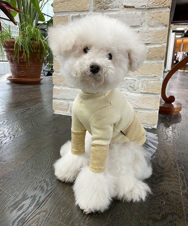 デワン | 愛犬とママ パパのお揃いコーデも取り扱う犬服通販サイト