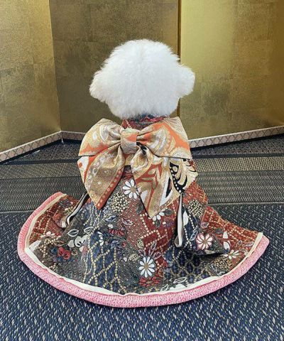 見返リ振袖ー茜青褐ー | AS KNOW AS オンラインショップ