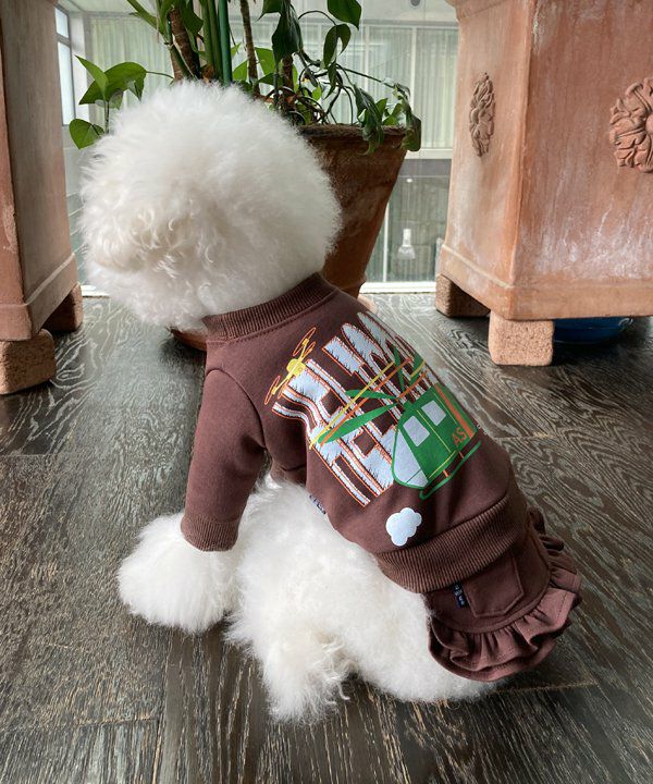 アズノウアズデワンママペア デワン | 愛犬とママ パパのお揃いコーデも取り扱う犬服通販サイト