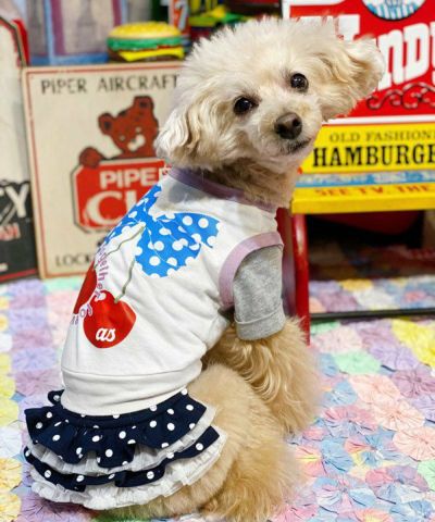 ベアロイドPO | AS KNOW AS オンラインショップ