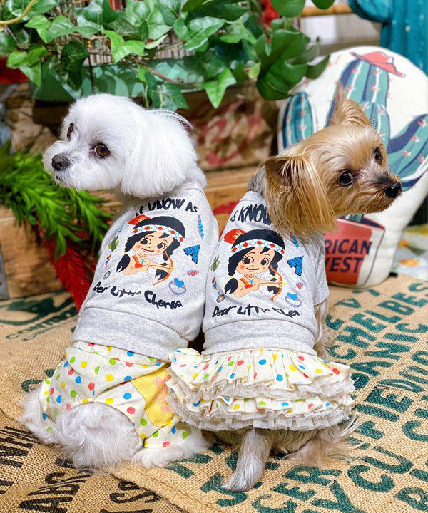 N親愛なるチェノアT | AS KNOW AS オンラインショップ