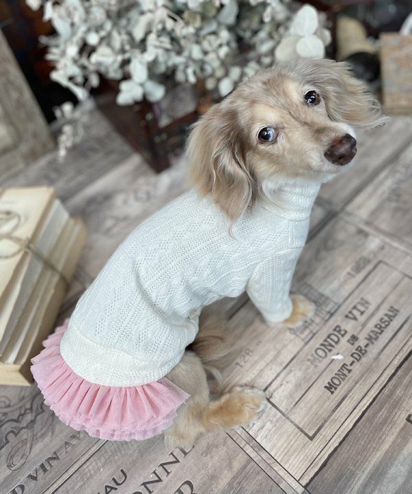 NジャカードニットTT | AS KNOW AS オンラインショップ