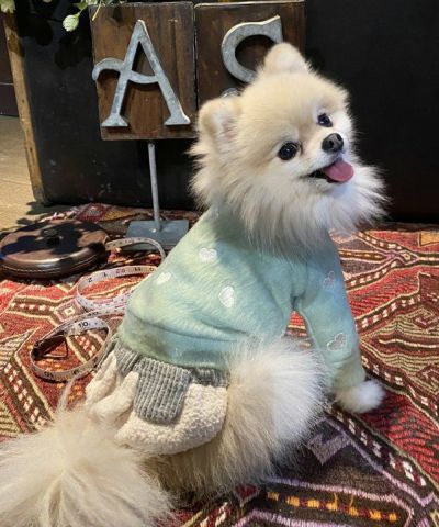 ハートチェックPK | AS KNOW AS オンラインショップ