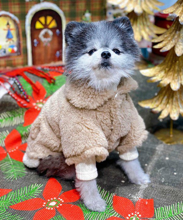 テディベアポンチョ | AS KNOW AS オンラインショップ