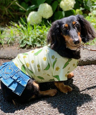 CハートフルサロペSK | AS KNOW AS オンラインショップ