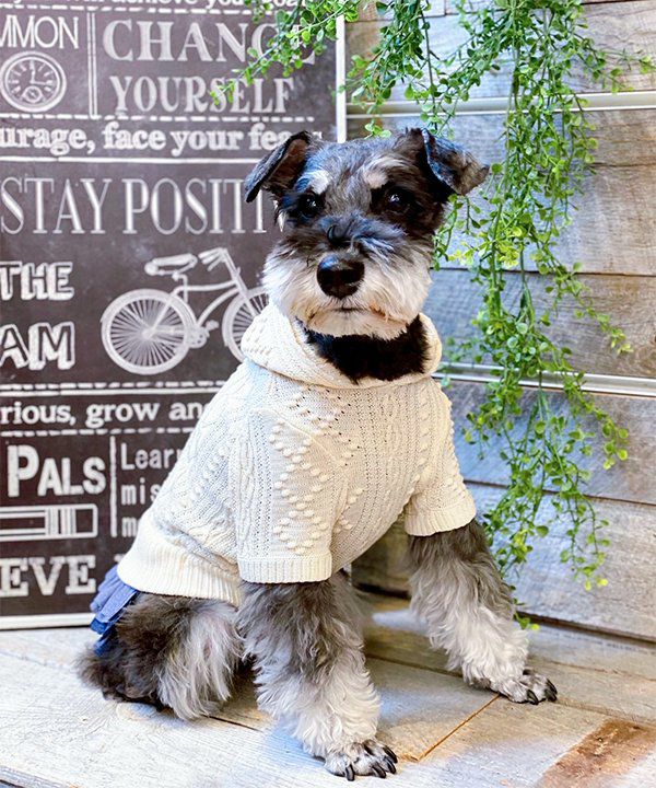 NサマーニットPK | AS KNOW AS オンラインショップ