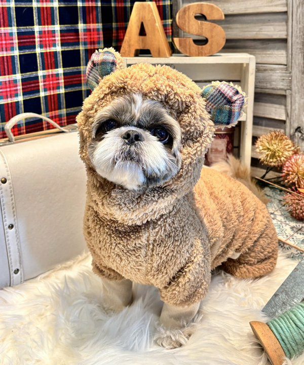 ＣＡＲＡＭＥＬ