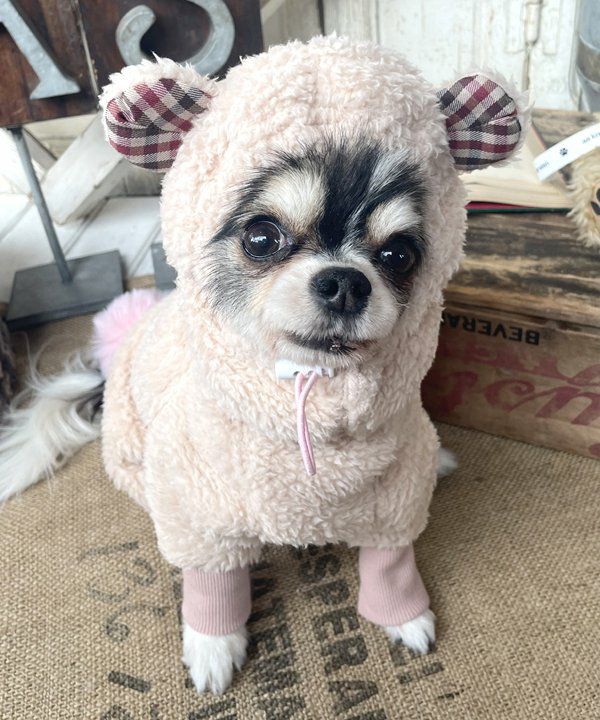 森のくまちゃん☆ロンパ | AS KNOW AS オンラインショップ