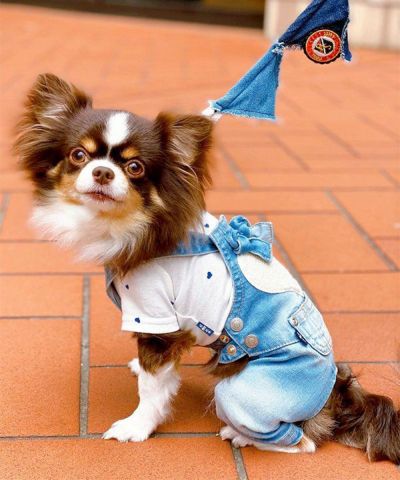 バッグ | アズノゥアズ レディース服のファッション通販サイト