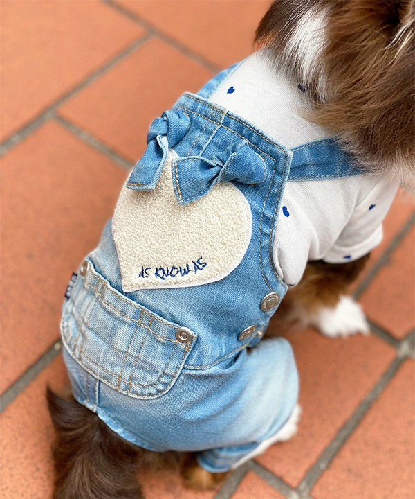 犬　ペット　洋服　asknowasdewan Cハートフル　サロペ　PT 2号 CハートフルサロペPT | AS KNOW AS オンラインショップ