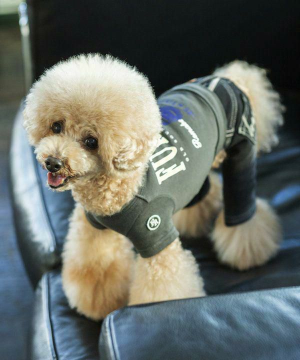 古音NカレッジドッグT | AS KNOW AS オンラインショップ