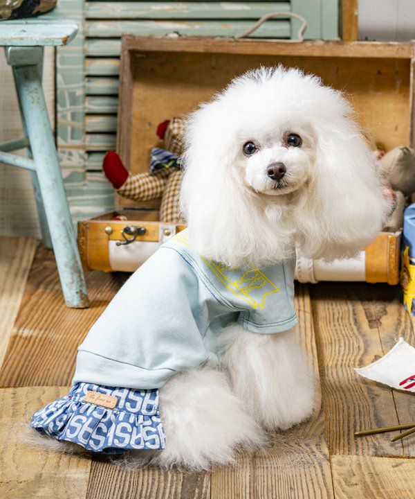 N立体で安心マナーベルト | AS KNOW AS オンラインショップ